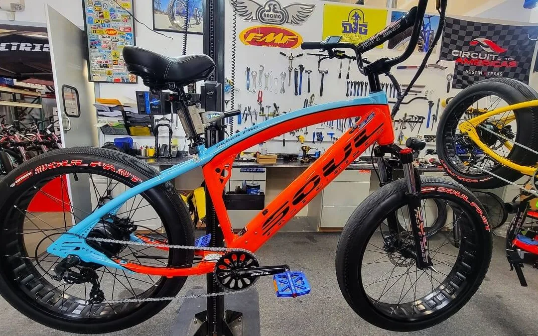 SOUL E-Bikes Sonic Pro X